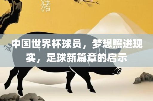 中国世界杯球员，梦想照进现实，足球新篇章的启示