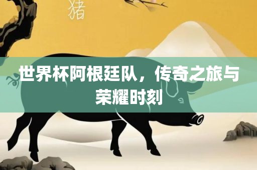 世界杯阿根廷队，传奇之旅与荣耀时刻