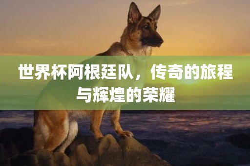 世界杯阿根廷队，传奇的旅程与辉煌的荣耀