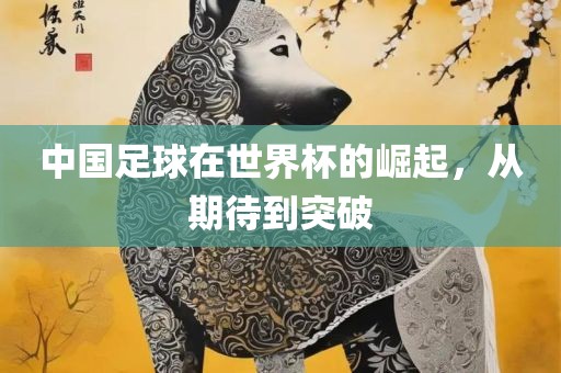 中国足球在世界杯的崛起，从期待到突破