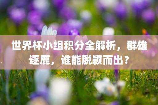世界杯小组积分全解析，群雄逐鹿，谁能脱颖而出？