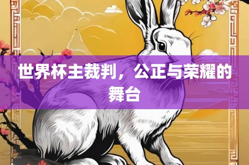 世界杯主裁判,公正与荣耀的舞台