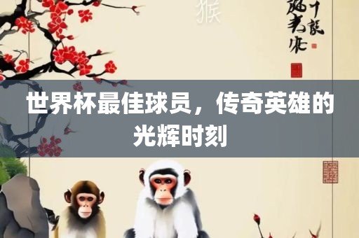 世界杯最佳球员，传奇英雄的光辉时刻