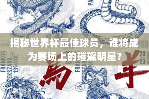 揭秘世界杯最佳球员，谁将成为赛场上的璀璨明星？