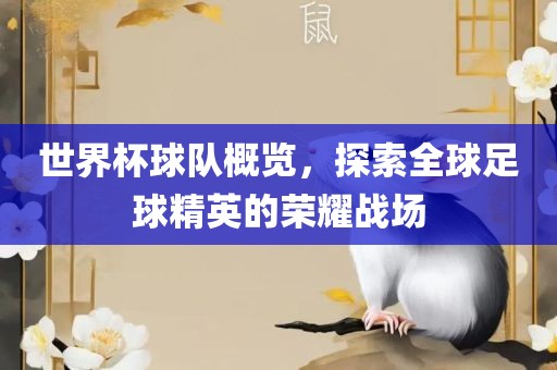 世界杯球队概览，探索全球足球精英的荣耀战场