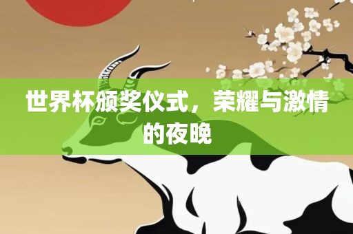 世界杯颁奖仪式，荣耀与激情的夜晚