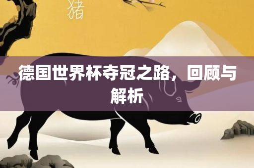 德国世界杯夺冠之路，回顾与解析
