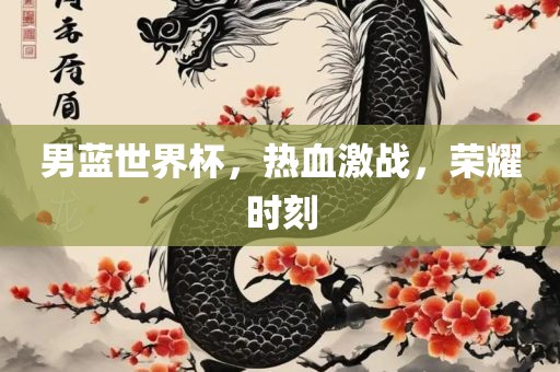 男蓝世界杯，热血激战，荣耀时刻