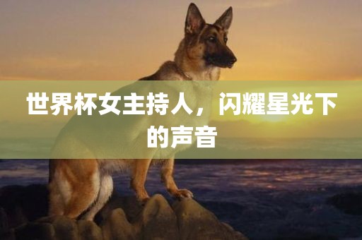 世界杯女主持人，闪耀星光下的声音