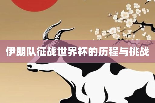 伊朗队征战世界杯的历程与挑战