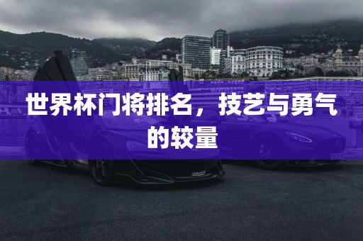 世界杯门将排名，技艺与勇气的较量
