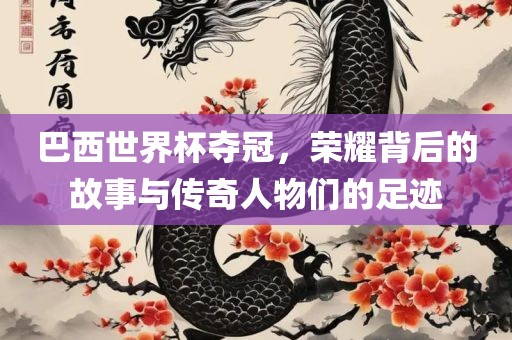 巴西世界杯夺冠，荣耀背后的故事与传奇人物们的足迹