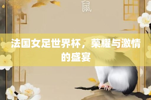 法国女足世界杯，荣耀与激情的盛宴