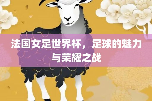 法国女足世界杯，足球的魅力与荣耀之战