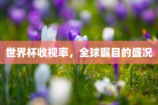 世界杯收视率，全球瞩目的盛况