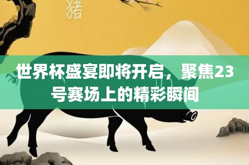 世界杯盛宴即将开启，聚焦23号赛场上的精彩瞬间