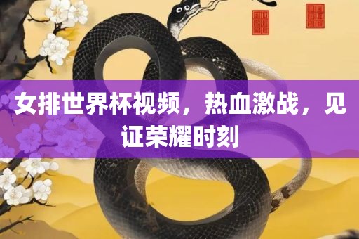 女排世界杯视频，热血激战，见证荣耀时刻