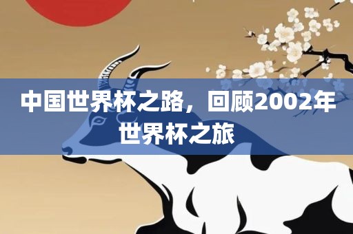 中国世界杯之路，回顾2002年世界杯之旅
