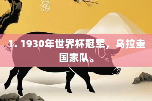 1. 1930年世界杯冠军，乌拉圭国家队。