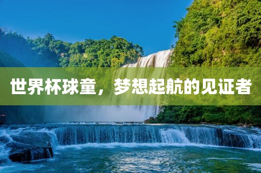世界杯球童，梦想起航的见证者