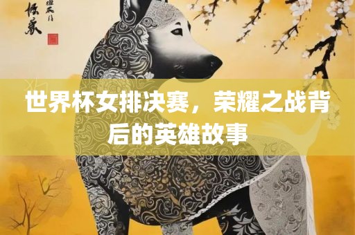 世界杯女排决赛，荣耀之战背后的英雄故事
