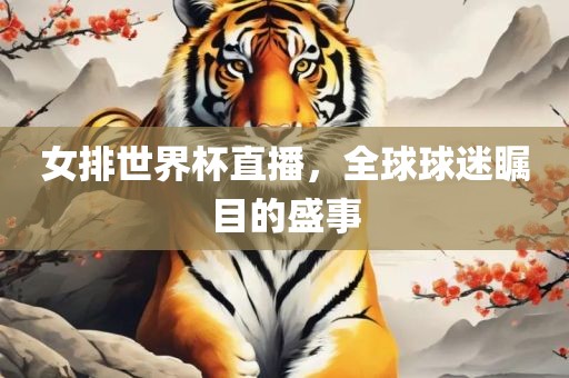 女排世界杯直播，全球球迷瞩目的盛事