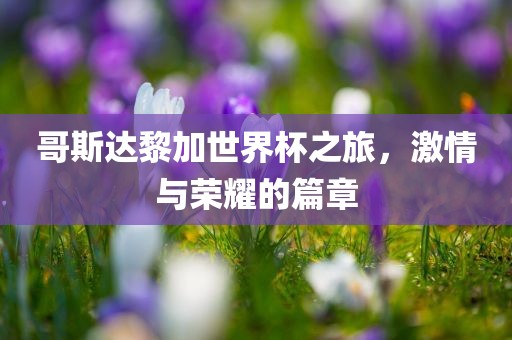 哥斯达黎加世界杯之旅，激情与荣耀的篇章