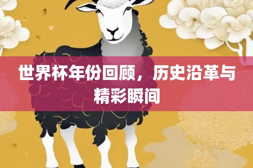 世界杯年份回顾，历史沿革与精彩瞬间