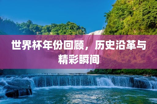 世界杯年份回顾，历史沿革与精彩瞬间