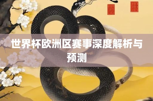 世界杯欧洲区赛事深度解析与预测