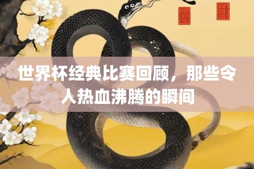 世界杯经典比赛回顾,那些令人热血沸腾的瞬间