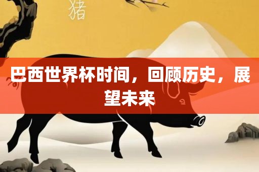 巴西世界杯时间,回顾历史,展望未来