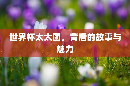 世界杯太太团，背后的故事与魅力