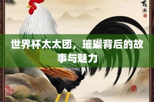 世界杯太太团，璀璨背后的故事与魅力
