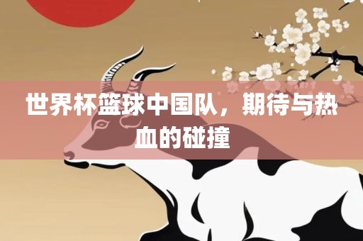 世界杯篮球中国队,期待与热血的碰撞