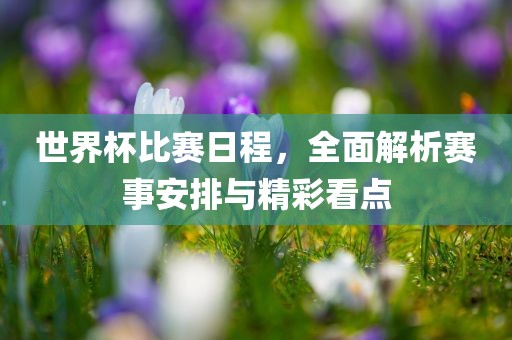 世界杯比赛日程,全面解析赛事安排与精彩看点