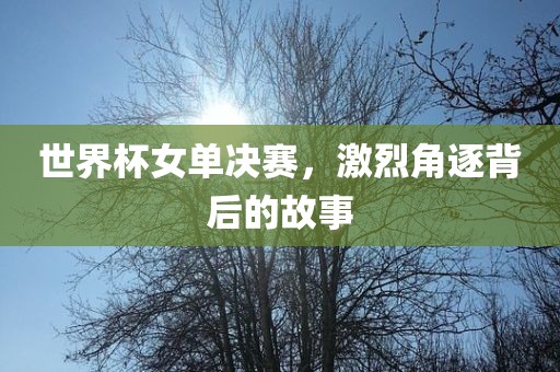世界杯女单决赛，激烈角逐背后的故事