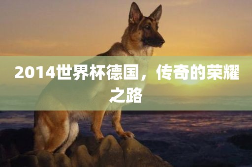 2014世界杯德国，传奇的荣耀之路