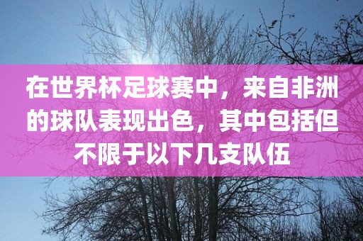 在世界杯足球赛中,来自非洲的球队表现出色,其中包括但不限于以下几支队伍
