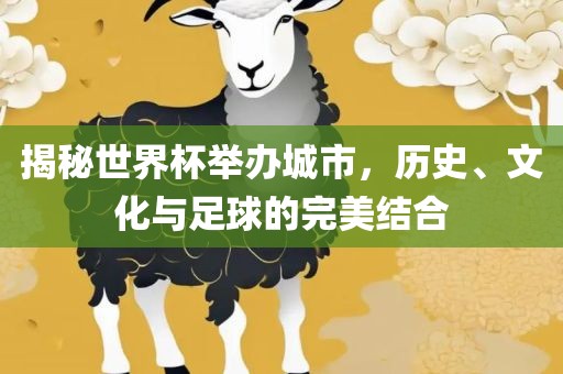 揭秘世界杯举办城市,历史、文化与足球的完美结合