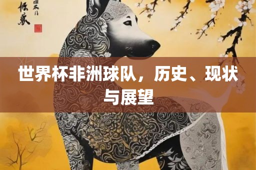 世界杯非洲球队，历史、现状与展望
