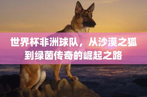 世界杯非洲球队,从沙漠之狐到绿茵传奇的崛起之路