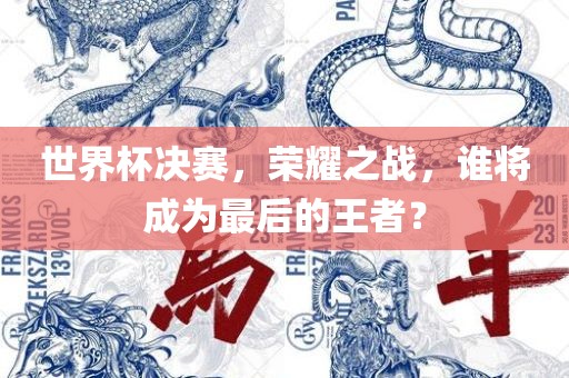 世界杯决赛，荣耀之战，谁将成为最后的王者？