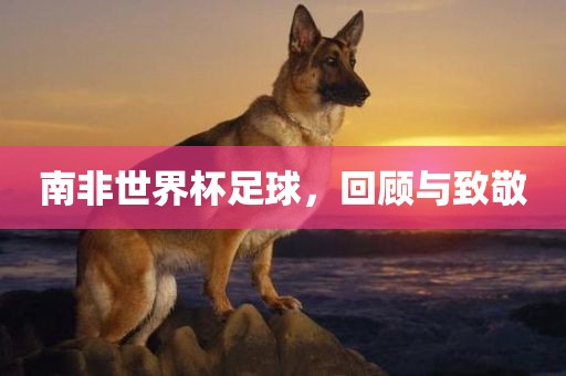 南非世界杯足球，回顾与致敬