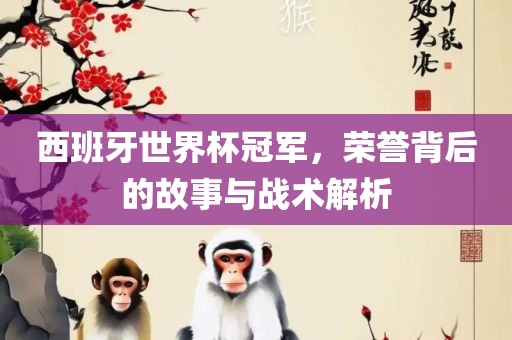 西班牙世界杯冠军，荣誉背后的故事与战术解析