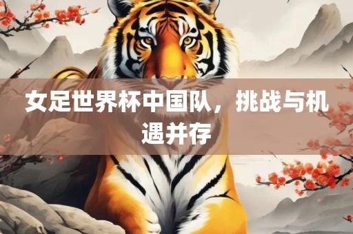 女足世界杯中国队，挑战与机遇并存