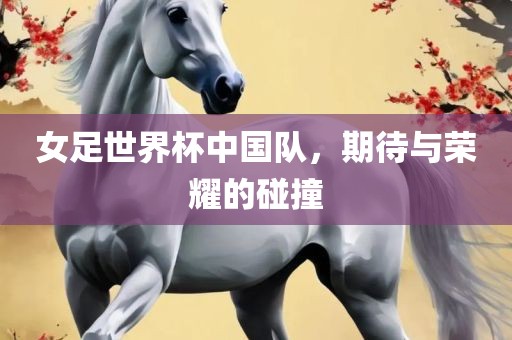 女足世界杯中国队，期待与荣耀的碰撞
