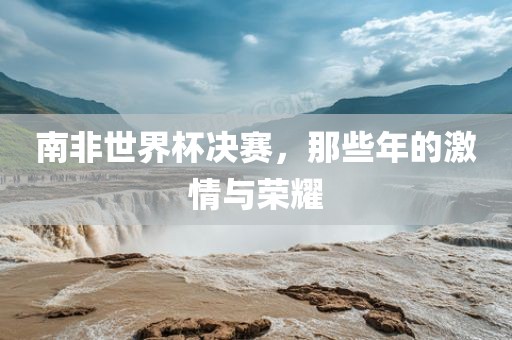 南非世界杯决赛，那些年的激情与荣耀