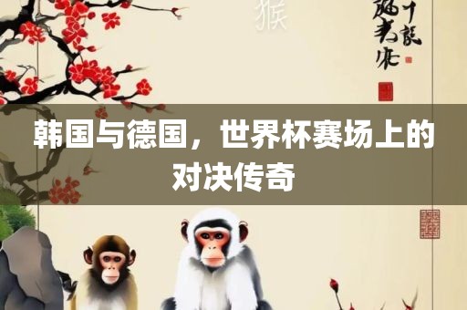 韩国与德国，世界杯赛场上的对决传奇