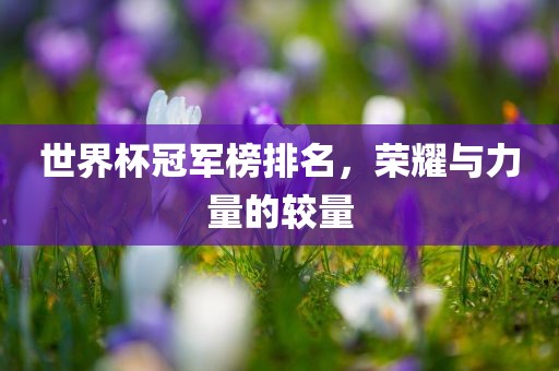 世界杯冠军榜排名，荣耀与力量的较量
